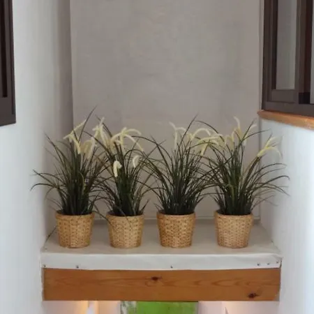 Tatil Evi Idyllic Townhouse In Old Town Marbella