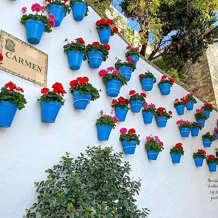 Idyllic Townhouse In Old Town Holiday home